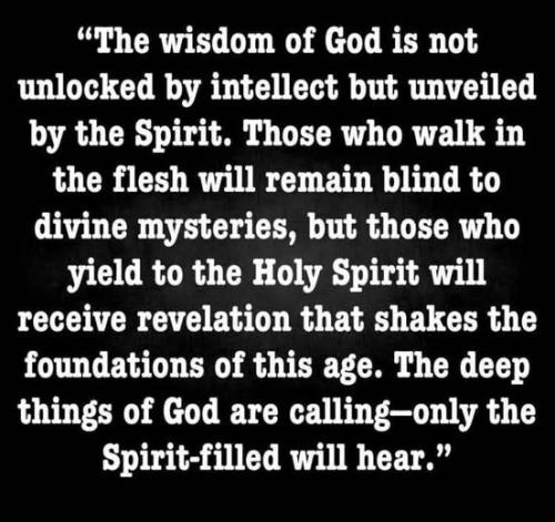 516317909_1309465487185031_6981408250480713206_n