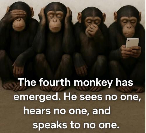 70e55282-ec80-4ebe-a150-fbf3ce682767