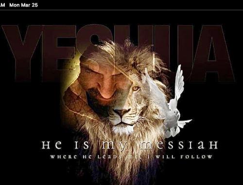 4ea585b4e5a20d8680297ba9b3c1f96a