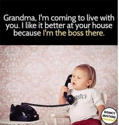 481001585_1172764041183812_540598129603483150_n