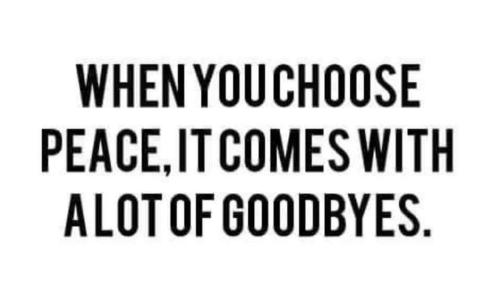 f6ec835a446cc76d455c84f27e9326ac