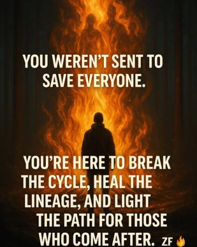 513936766_737043772343759_223212355441110023_n