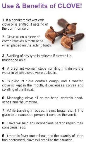 ,     ,    324779683_12676030304