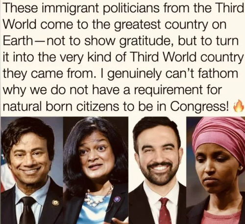 image_2025-07-02_061751584