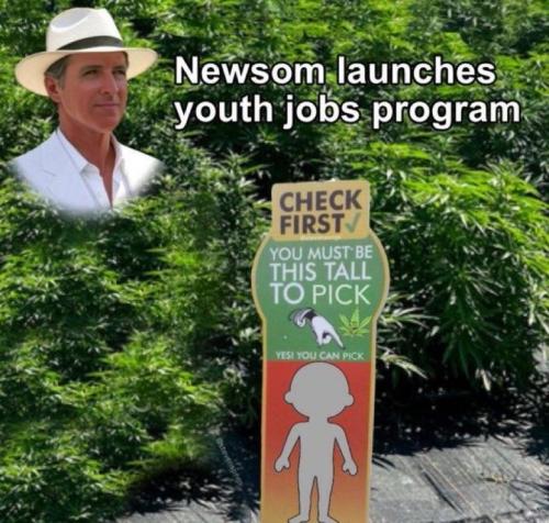 cefd1c3a-177f-44b4-82ee-a823b3141efb