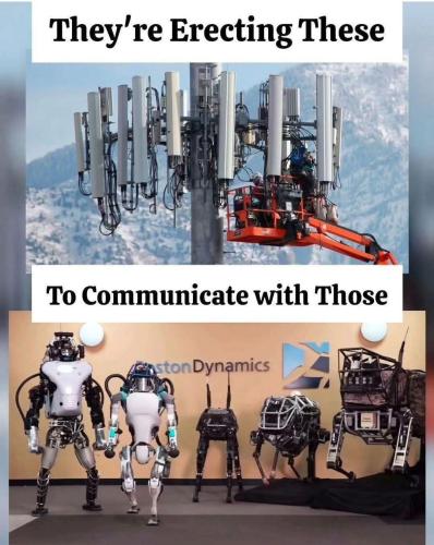 FB_IMG_1752773928236