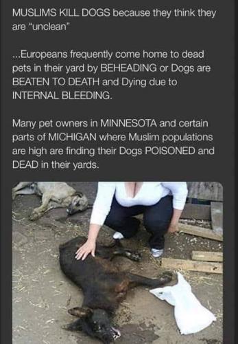 FB_IMG_1560616959197