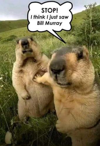 522964801_122199483098098862_1944980529803416528_n