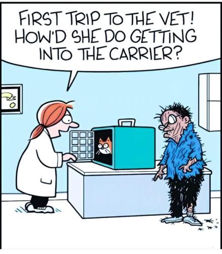 ab320d4f0ce437b2b2d0ead1db4f1cb8