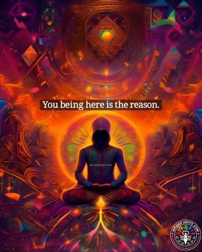 e2534fbb1c48a6e1b8c0391fb911b162