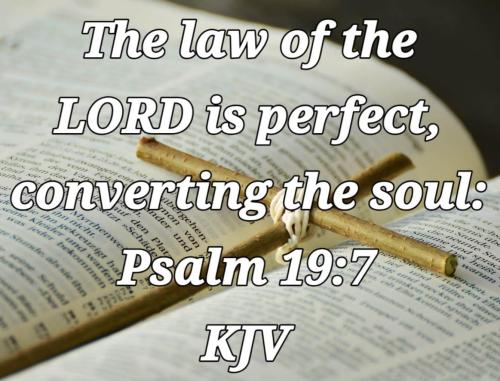 51baa32d-541e-472f-83f1-5dfea263bec4