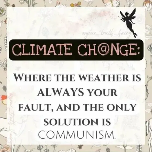 image_2025-07-15_064943729