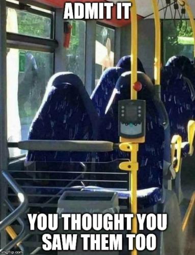 you thought you saw them