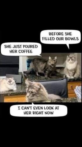 e193dd2c65ad52e151e38c63b7f6f324