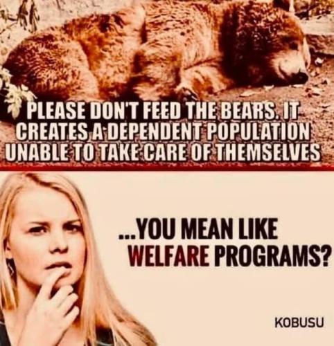 Welfare 1