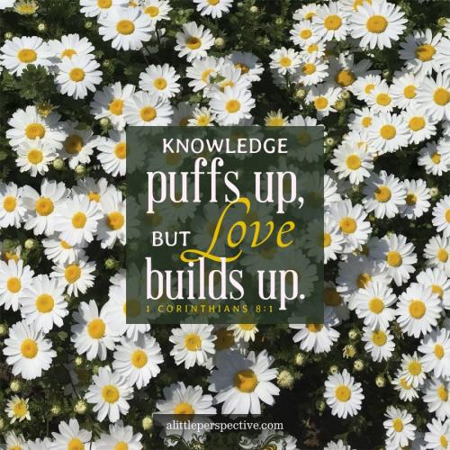 1-cor-8-1-KJV-pixabaySP