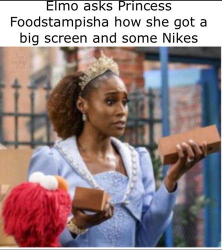 foodstampisha