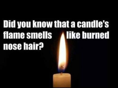 image_01CB8F78-A8E0-4471-812D-6E8BC74C287A