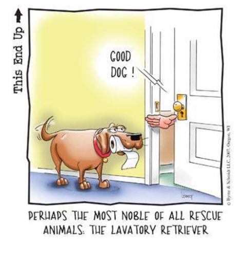 lavatory retriever