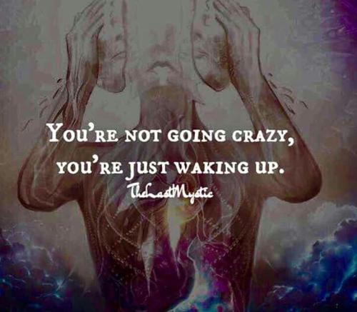 bb8a154b864ee2f26d895cb9b420e847