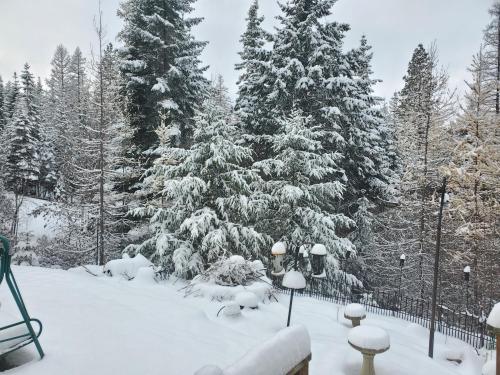 2df5091f-e776-4a96-9cb0-d19f414ecea5