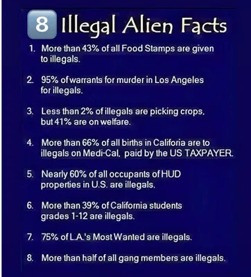 illegal-alien-facts