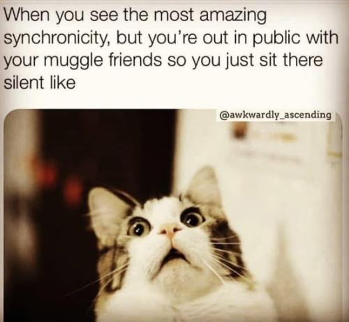 517334907_722824063789003_3462671443770070028_n