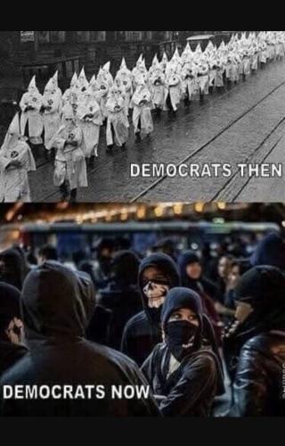 Screenshot_20250708-132640_Brave