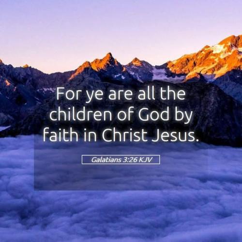 fcba25d5-a60b-4f55-8a8e-b15fa24c0c0f