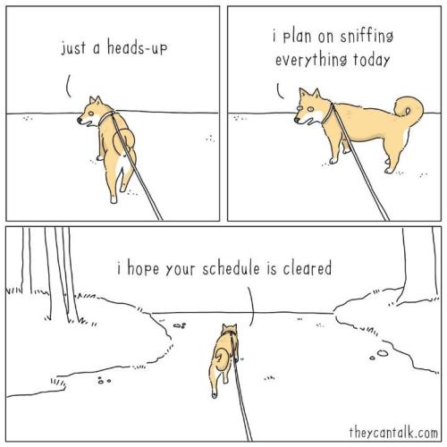 Resized_FB_IMG_1751905977620