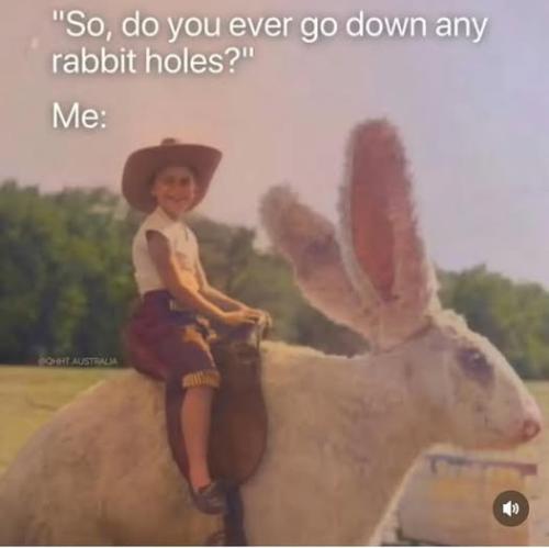 516229022_741900065392855_8830114051181890551_n