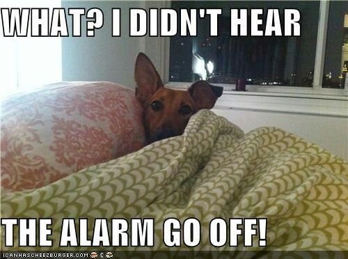 6810b1b29ac9912210145f94368de622