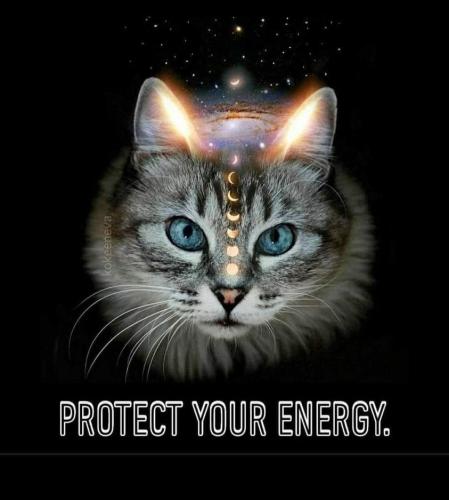 472718844_560832780155969_6452686201741940259_n