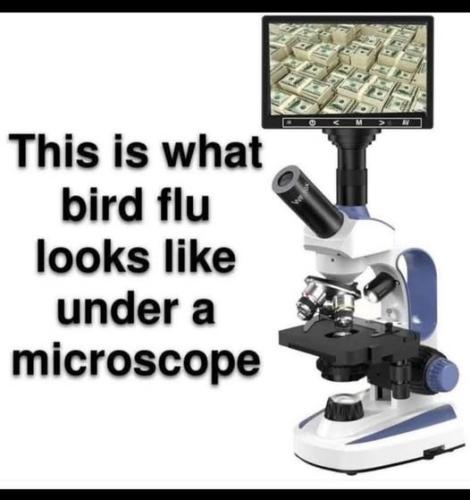 520269499_715092541408461_3874656140835407668_n