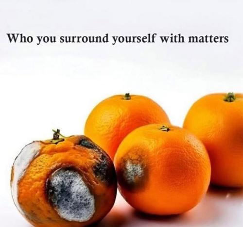 b7330b822d7163db1e4a31fff90217d6