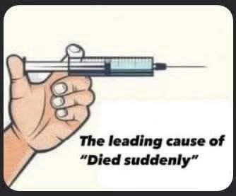 IMG_20250701_071312_429