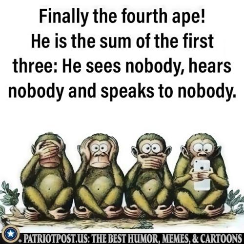 01K1DMM42R2KY6H97E41GC6JXN