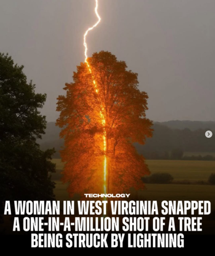 Screenshot 2025-07-02 135623