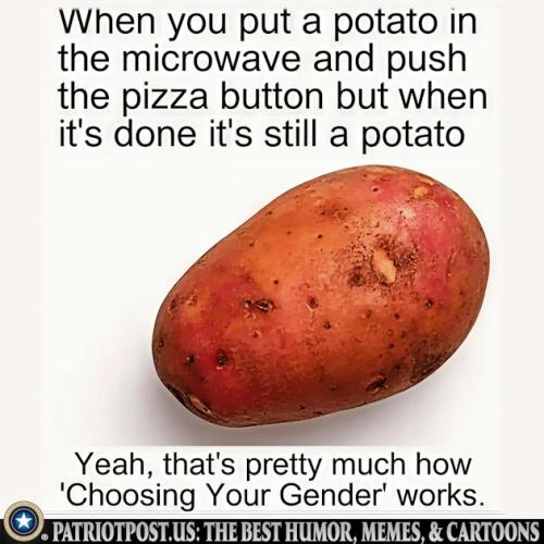 01K0VX39X9CC1D0RX9G9WW2977