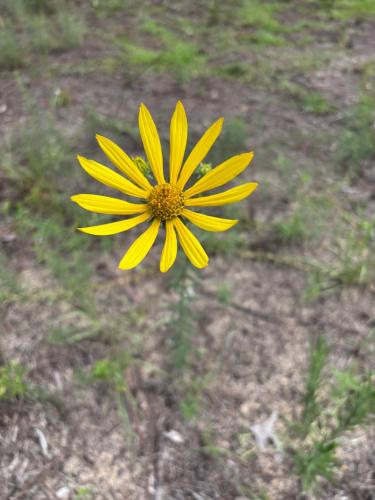 BAB58EEA-3D15-4BBA-B900-4C1229D935B5