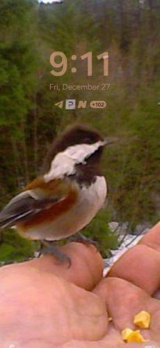 31132fdf-aa18-4020-9998-304a442e9c5b