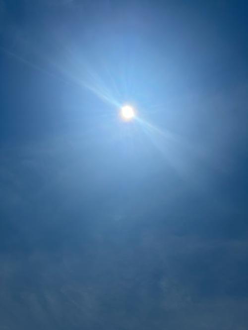 9E610F19-6099-4D5A-926D-36DE29AB67BE