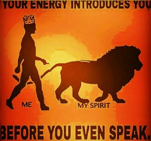 8cd80b94886bdb39ce931e61ac8cdf67