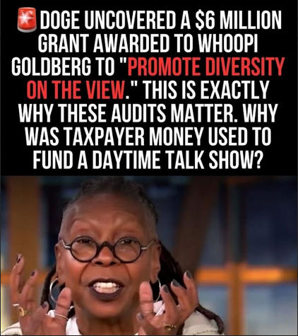 government efficiency75