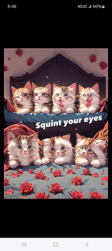 Screenshot_20250729_184802_Facebook