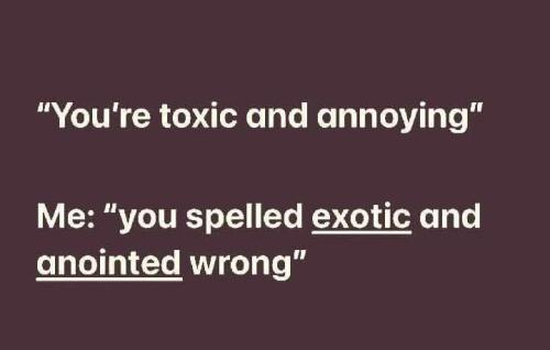 514149224_122217056912088259_6679033395152222816_n