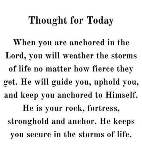 08291d4c-b420-4991-be58-404ba4bad91a