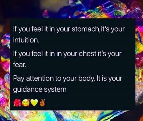 516747900_10232084833637801_6641779029827462983_n