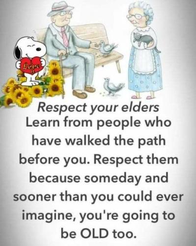 524726489_122127709088864077_1563598244312009664_n