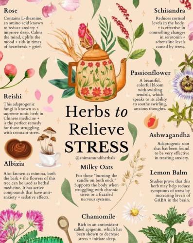 ,         418235313_73391130547